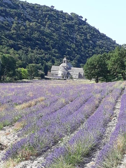 Bastidon Plein Sud Villa Gordes Eksteriør bilde
