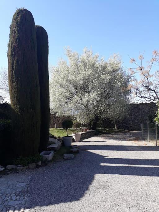 Bastidon Plein Sud Villa Gordes Eksteriør bilde